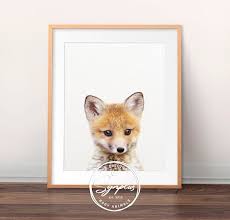 Fox Print Baby Fox Art Nursery Animals