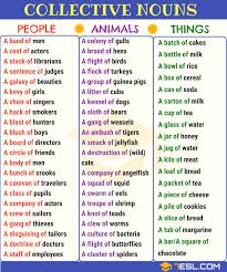 Collective Nouns Useful List Examples In English 7 E S L