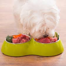 recipes for healthy homemade pet food
