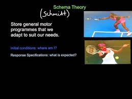 schema theory you