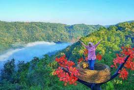 Berikut adalah tempat tempat menarik di yogyakarta indonesia yang harus anda lawati pantai parangtritis hanyalah 27 km dari pusat kota jogja dan terkenal dengan pemandangan matahari terbenam yang romantik | cc: 45 Tempat Wisata Di Jogja Terbaru Dan Paling Hits Dikunjungi Tahun 2020