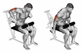 triceps dips machine better body academy