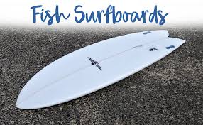 Best Fish Surfboard Reviews 2019 See Which 7 Made Our List