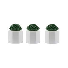 Table Torch Glass Succulent White