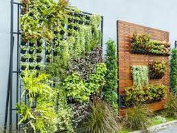 Diy Outdoor Living Plant Wall Ideas