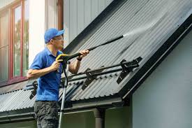 the 10 best roof cleaning services near