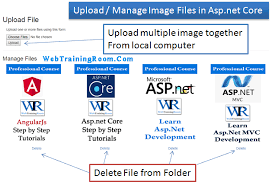 retrieve static files images in asp net