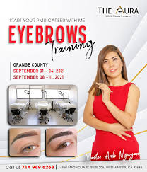 brow master courses the aura beauty