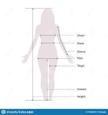 Woman Female Body Measurement Proportions For Clothing