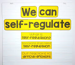 Self Regulation Skills Guaranteed To Help Kids In The