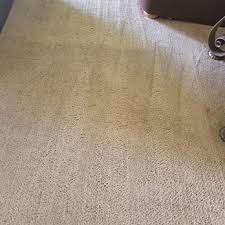 lanior carpet cleaning updated april