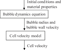 Computational Flow Chart Of Bubble Dynamics Equation