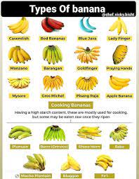 Different Types Of Banana gambar png