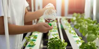 Hydroponic Nutrient Solution Easy