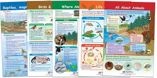 Newpath Learning 94 1501 All About Animals Bulletin Board Chart Set Pack Of 5