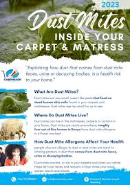 carpet cleaning services in kaware