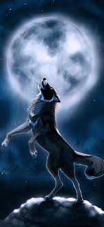 wolf wallpapers top 68 best wolf