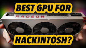 If the report shows two different hardware devices, then you probably have a hybrid graphics system, with an igp (integrated graphics processor inside the cpu) and a dedicated gpu. Amd Radeon Vii Best Gpu For Hackintosh And Macos Mojave Youtube