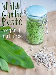 nut free wild garlic pesto recipe