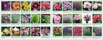 Plant Catalogs Discover Our Selection