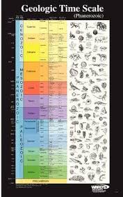 470154 022 Wards Geologic Time Scale Poster Phanerozoic Wards Geologic Time Scale Charts Each