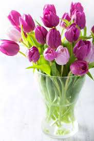 Easy Tips and Tricks: How to Care for Tulips