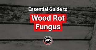 essential guide to wood rot fungus