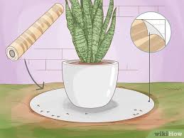 How To Remove Ants From Potted Plants