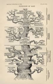 Biology Wikipedia