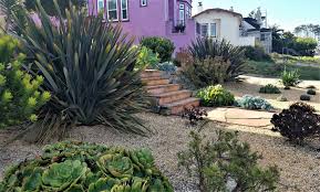 Drought Tolerant Front Yard With