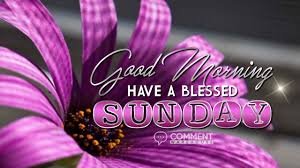 Image result for images for blessed sunday