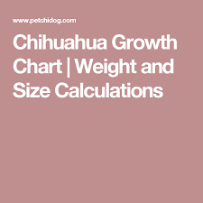 Chihuahua Growth Chart Weight And Size Calculations