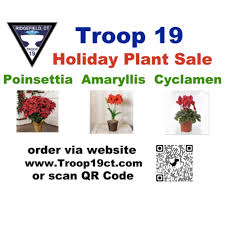 Stop & shop florist 125 danbury road. Ridgefield Troop 19 Holds 2nd Annual Holiday Flower Fundraiser