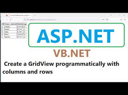 columns and rows in asp net vb net