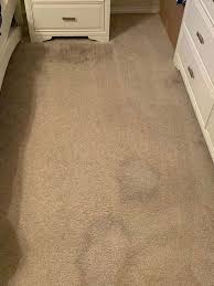 carpet cleaning wf carpet cleaning