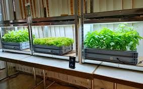 Smart Home Garden At Agroscope