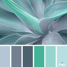 best turquoise color combinations
