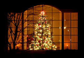 クリスマス・ツリーの生木を自宅で飾るには | junglecity.com さん