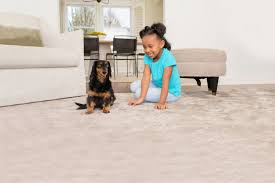 carpet cleaning wake county nc chem