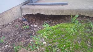 Rent a conpactor if you dont have one for a day or 2 and it will be worth it in the end. Filling Hollow Under Concrete Patio Diy Home Improvement Forum