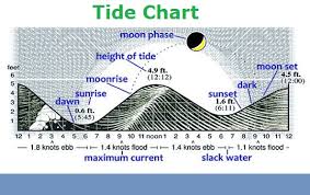 Tide Chart Tide Diagram Tide Explained Diagram Of A