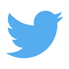 Twitter Symbol in Visoeale Social Media