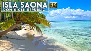 saona island dominican republic 4k