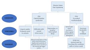 chronic pelvic pain syndrome cpps