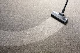 a home owner s guide to basic carpet care