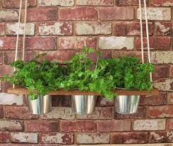 Buy Hanging Shelf And Pots Kitchen Herb