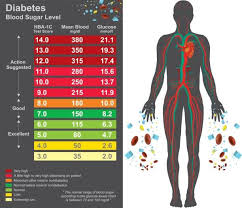 Diabetes Chart Health Care Info Graphic Diabetes The