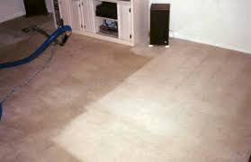 arlington wa carpet cleaner camano