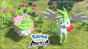 How to get Shaymin & change to Land Forme in Pokemon Legends Arceus -  Dexerto