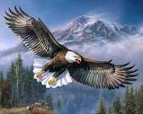 Bald Eagle Paint By Number Kit – Masterpiece By Numbers